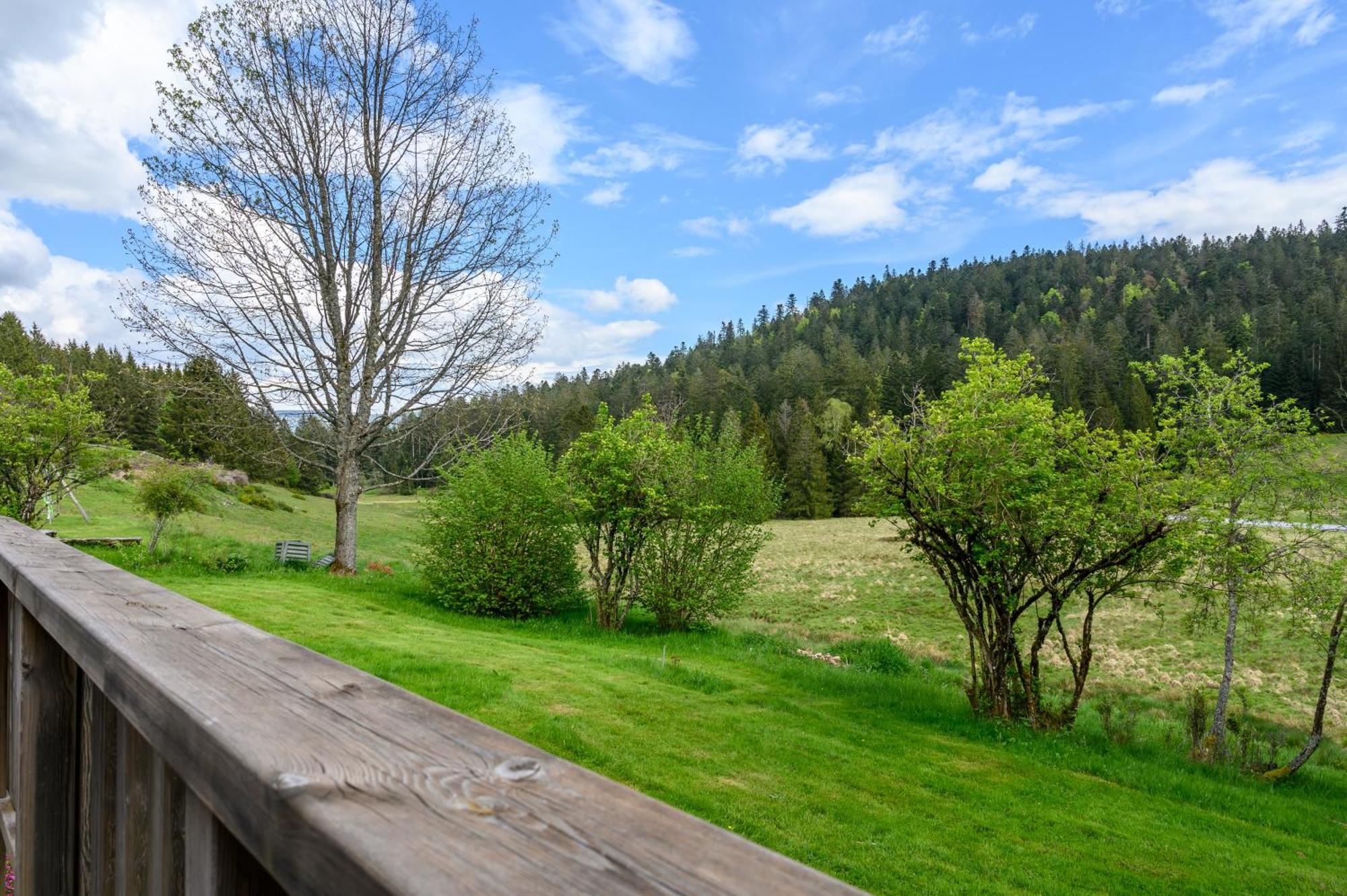 Gite La Ramee Ban-sur-Meurthe-Clefcy Exteriör bild